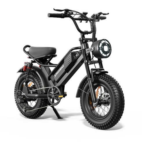 Electric bike 250w adult - electric,